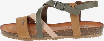 IGI&CO Strap Sandals in Green