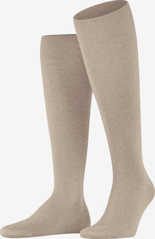 FALKE Knee High Socks 'ClimaWool' in Beige: front