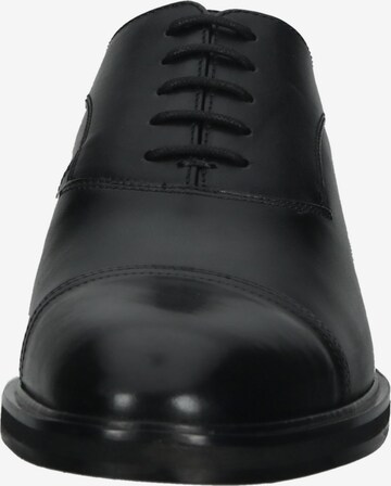 Baldessarini Lace-Up Shoes in Black