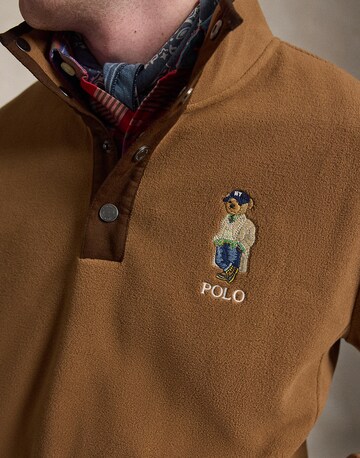 Polo Ralph Lauren Pullover i brun