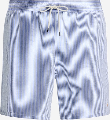 Polo Ralph Lauren Big & Tall Regular Housut värissä sininen: etupuoli