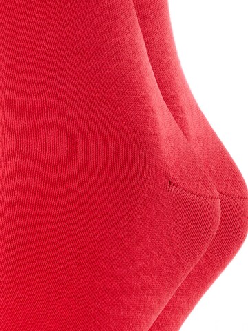 FALKE Socken 'Happy 2-Pack'‌‌‌‌‌‌‌‌‌‌ in Rot