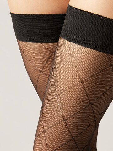 CALZEDONIA Over the Knee Socks in Black