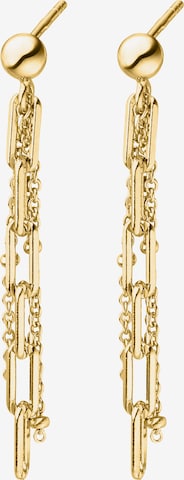 Nana Kay Earrings 'Vivid Chains' in Gold: front
