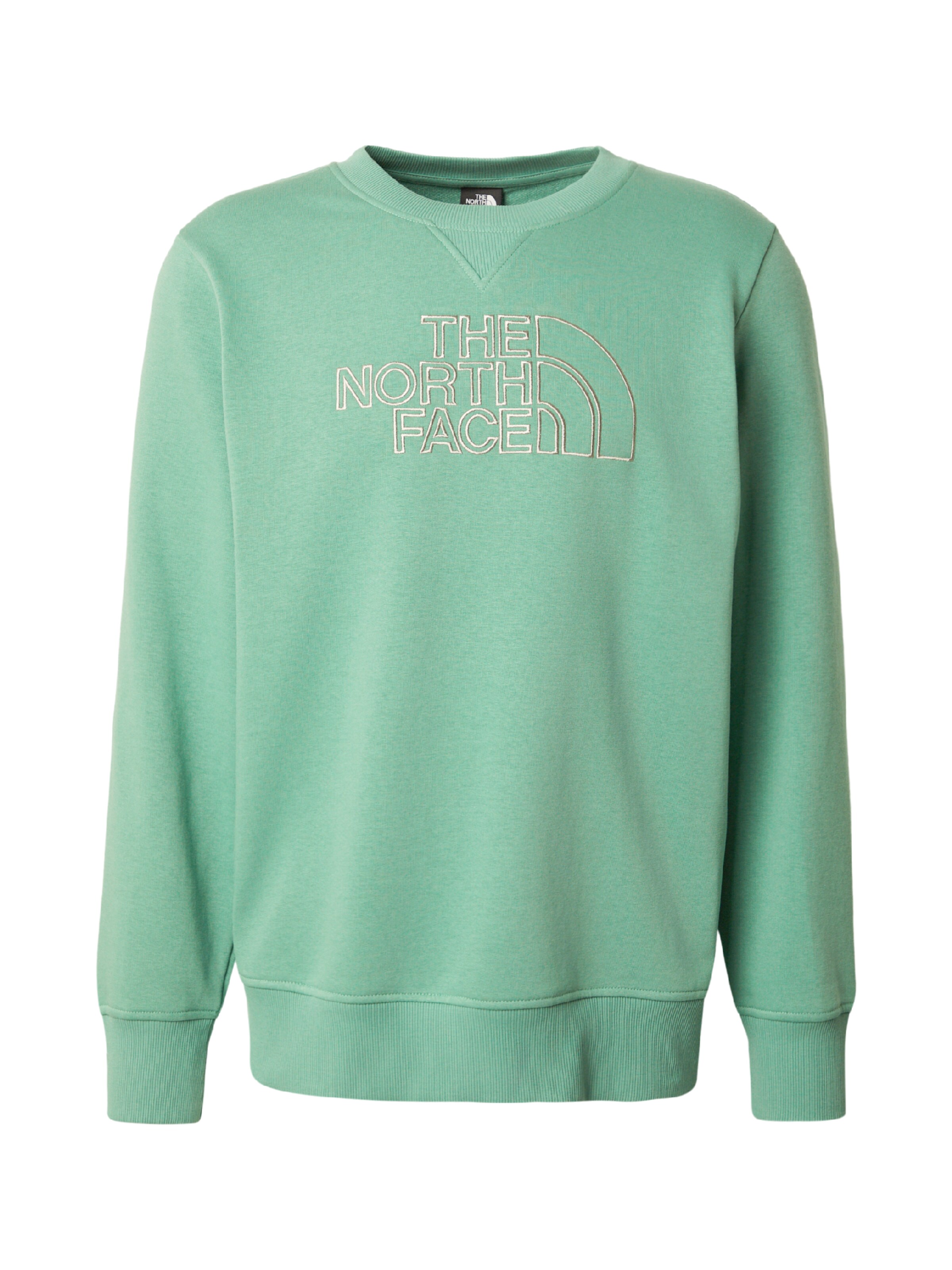 THE NORTH FACE - Sweatshirt 'DREW PEAK' em verde: frente