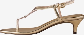 Sandalo di B by Ted Baker in oro: frontale