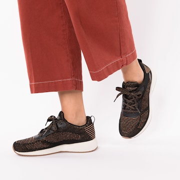 Baskets basses SKECHERS en marron