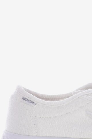 Palladium Sneaker 39 in Weiß