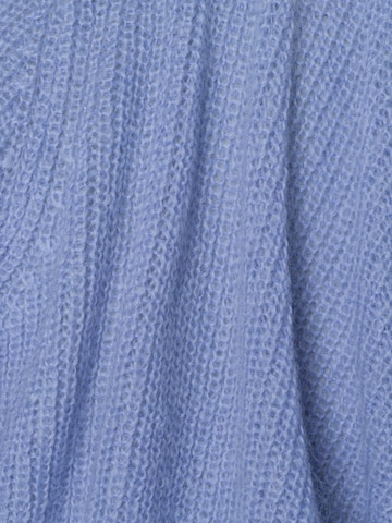 Ipuri Strickjacke in Blau