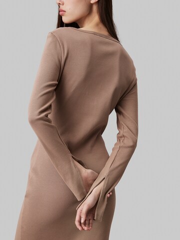 Calvin Klein Jeans Kleid in Braun