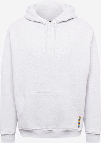 HOMEBOY Sweatshirt in Grey: front