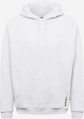 HOMEBOY Sweatshirt 'Pencil' in Grau: predná strana