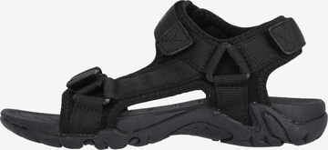 Mols Sandalen 'Arbonon' in Schwarz