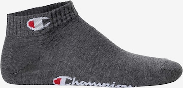 Champion Authentic Athletic Apparel Athletic Socks in Blue