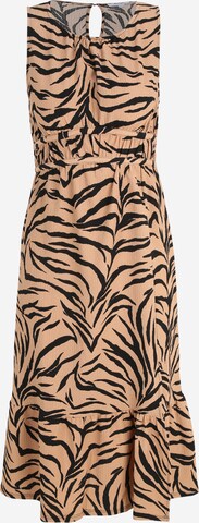 Dorothy Perkins Petite Jurk in Gemengde kleuren: voorkant