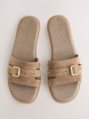 Next Muiltjes in Bruin