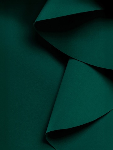 Robe de soirée GODDIVA en vert