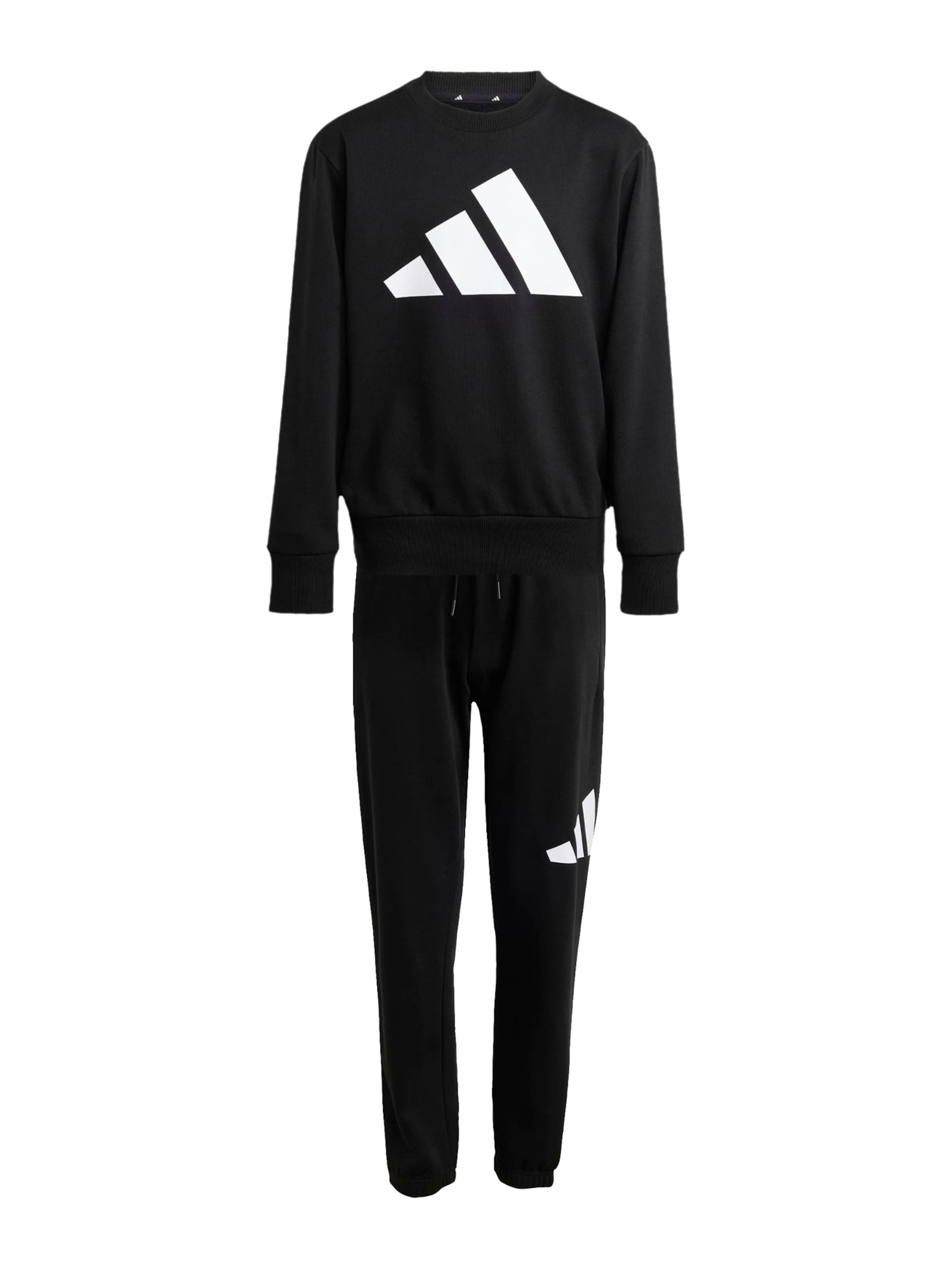 ADIDAS SPORTSWEAR Тренировочный костюм в Черный: спереди