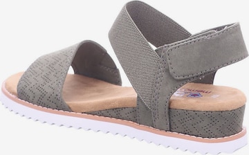 SKECHERS Strap Sandals 'Desert Kiss' in Grey