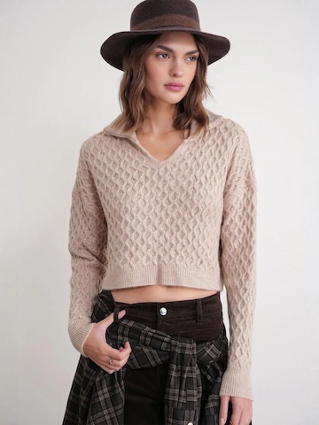 Pullover di MixRay in beige: frontale