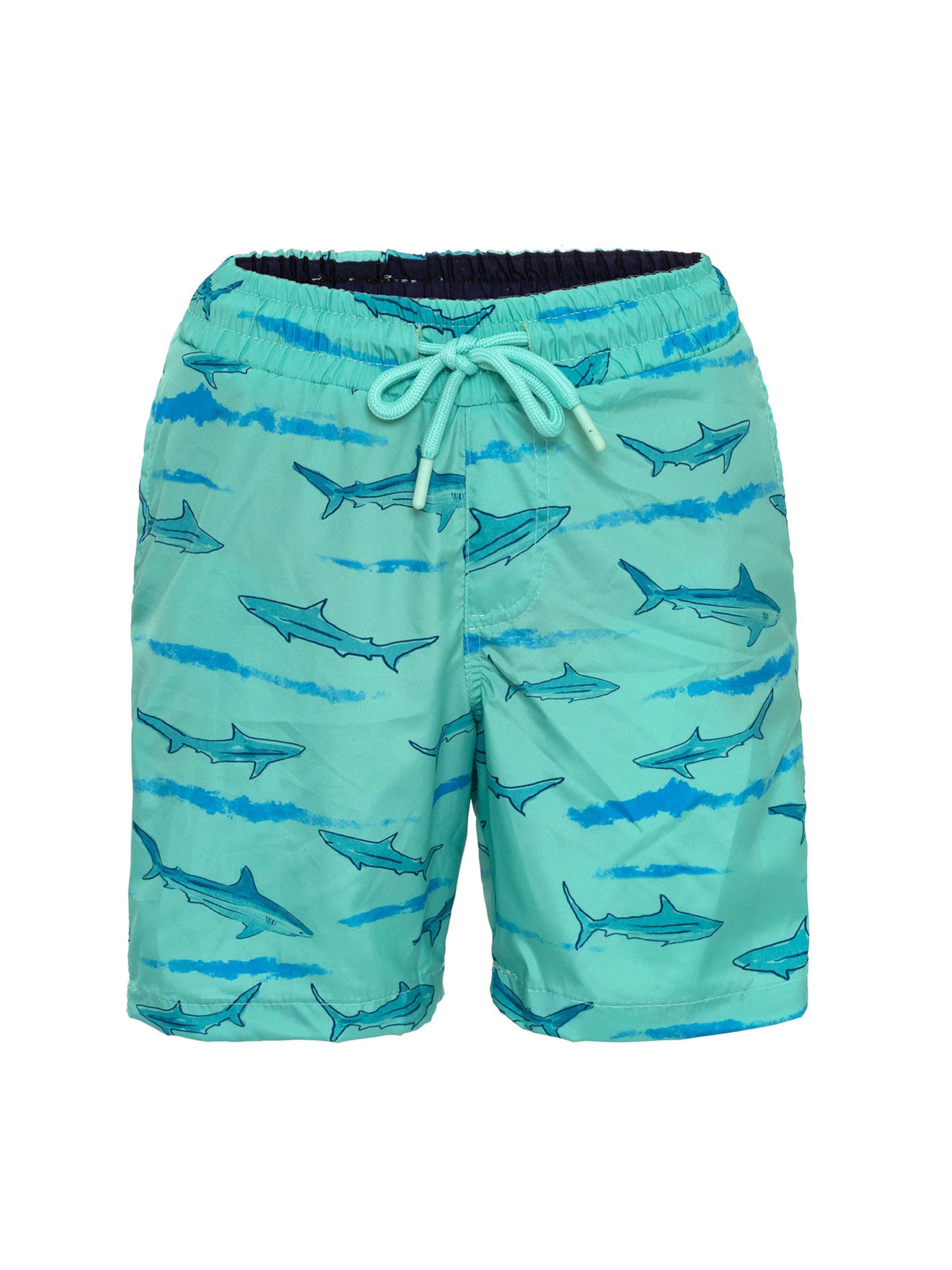 Daniel Hills Σορτσάκι-μαγιό σε μπλε: μπροστά