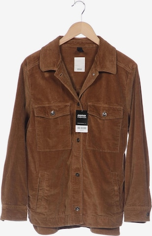 BRAX Jacket & Coat in XXXL in Brown: front