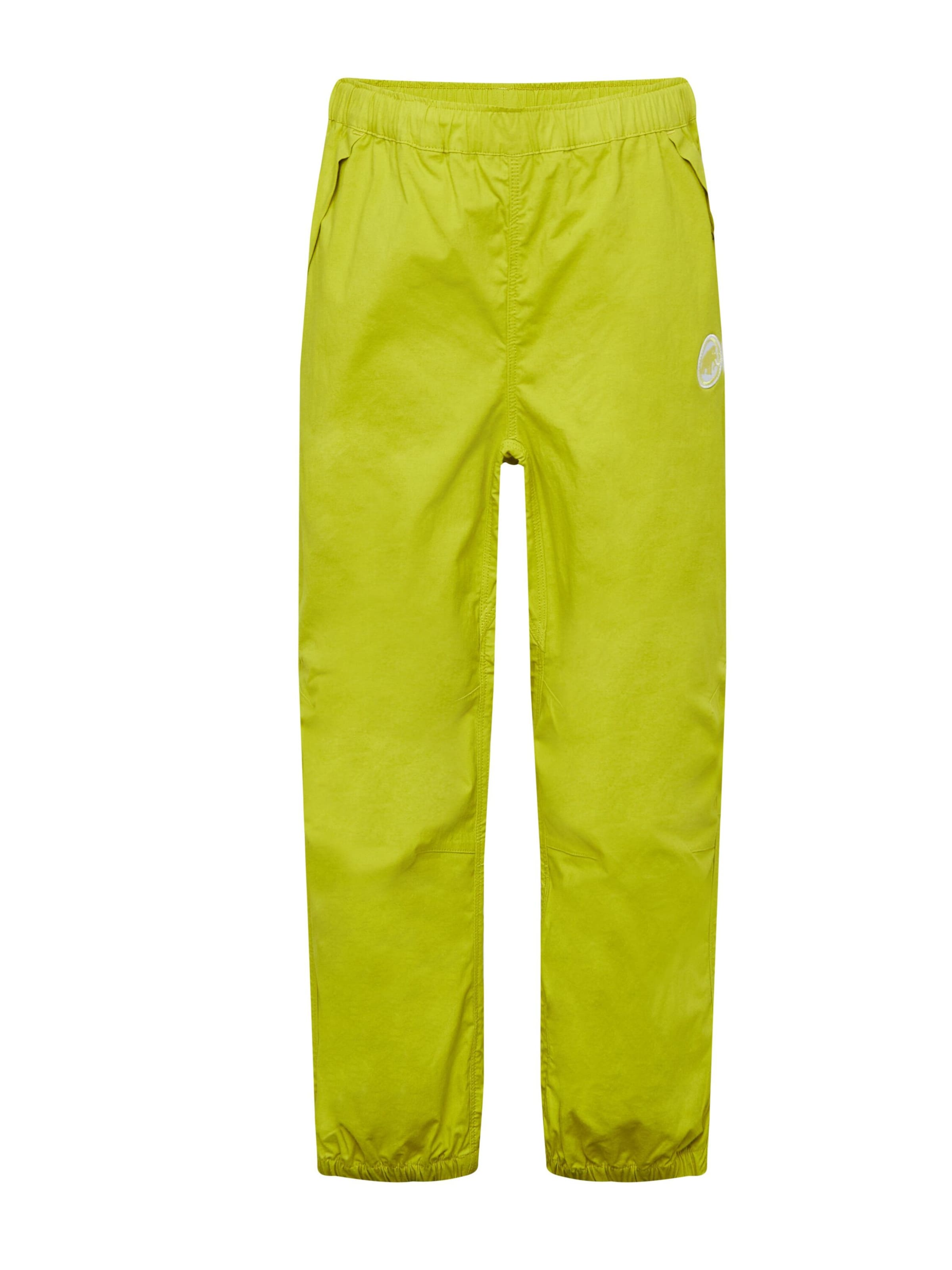 MAMMUT Outdoor Pants in Yellow: front