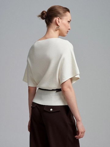 Pull-over 'Pullover' Dilvin en marron