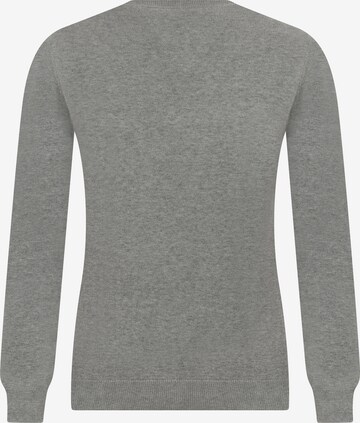 DENIM CULTURE Pullover 'MOANA' in Grau