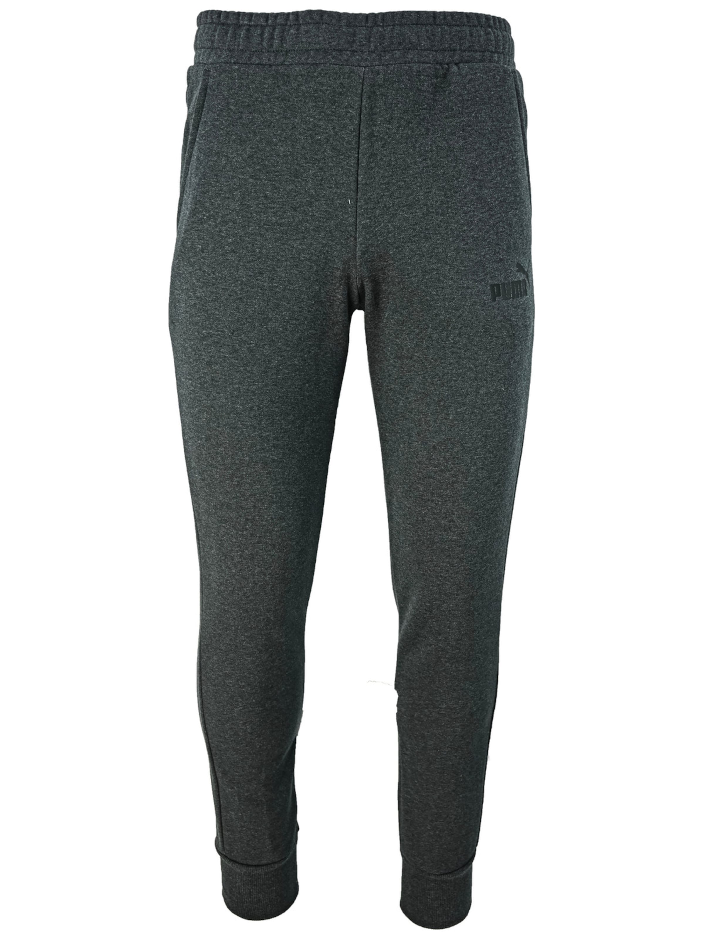 PUMA Regular Sporthose 'Puma Essentials Logo'‌‌‌‌‌‌ in Grau