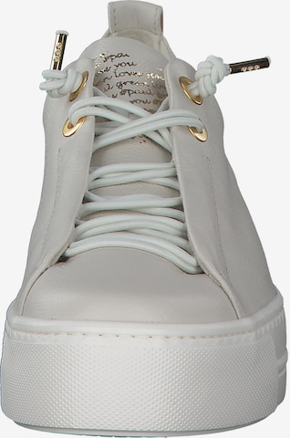 Paul Green Sneakers in White