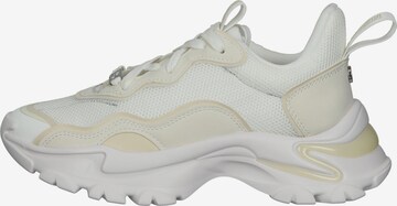 STEVE MADDEN - Zapatillas deportivas bajas en blanco