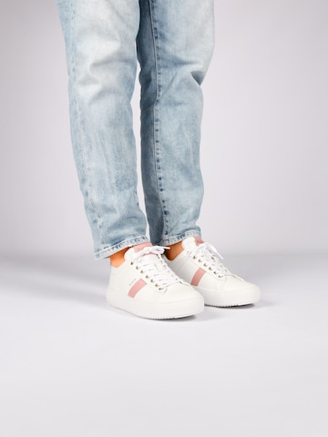 Baskets basses 'Ryder BL220' BLACKSTONE en blanc