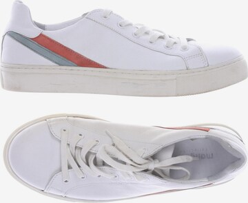 Manguun Sneakers & Trainers in 42 in White: front