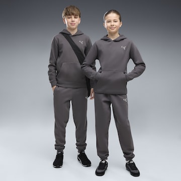 PUMA Sweatshirt 'Essentials Elevated' in Grey
