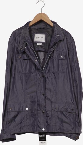 GEOX Jacket & Coat in XXXL in Purple: front