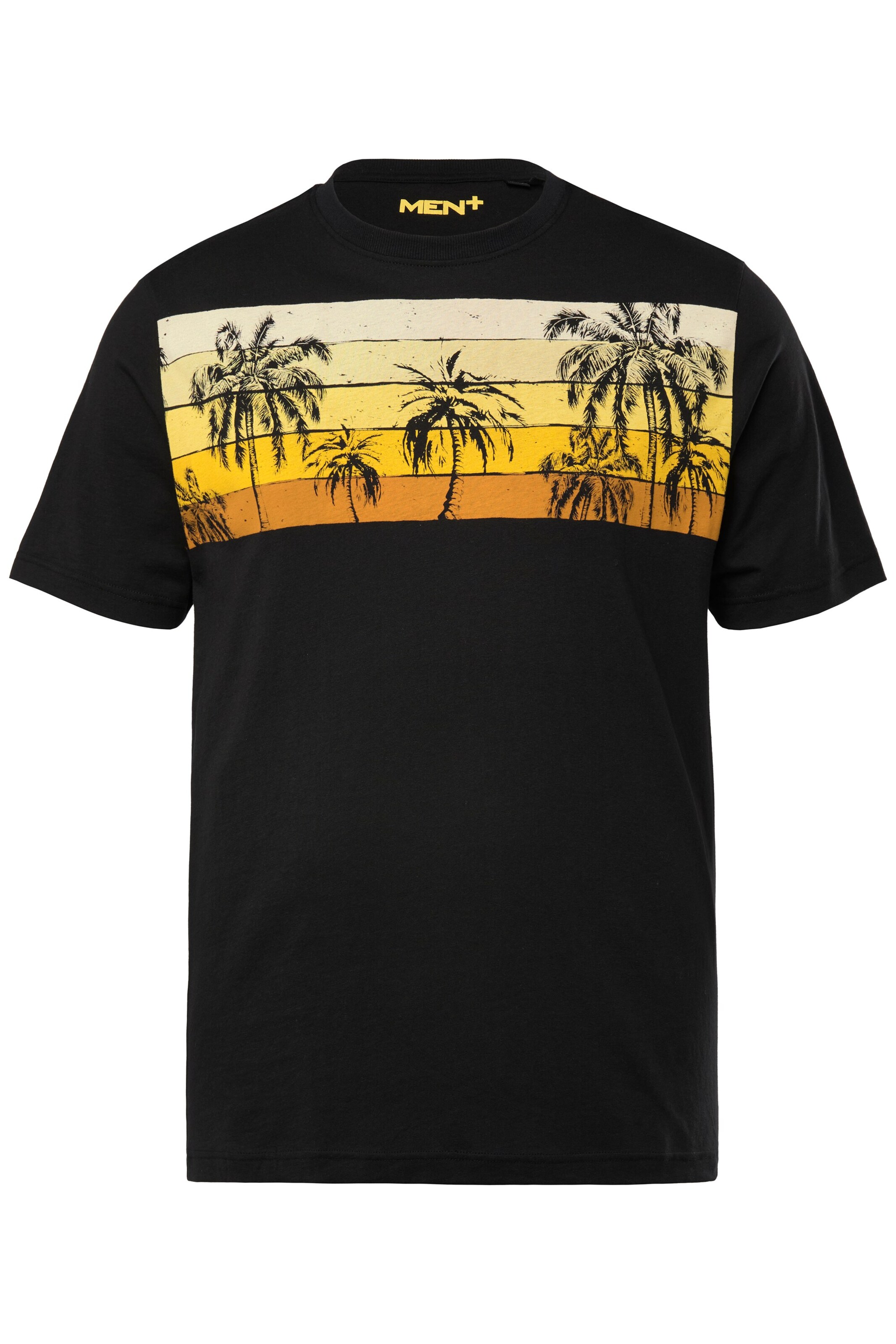 Men Plus T-Shirt in Schwarz: Vorderseite