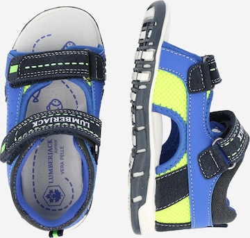 Lumberjack Sandals & Slippers 'VELCRO' in Blue