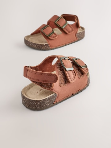 Next - Zapatos abiertos en marrón