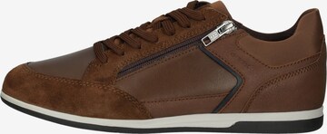 GEOX Sneakers laag in Bruin