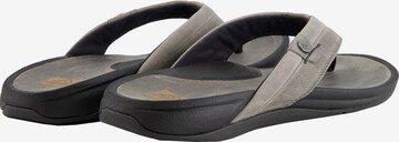 REEF Classic Flats 'Pacific Le' in Grey