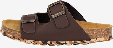 Palado Sandals & Slippers 'Korfu' in Brown