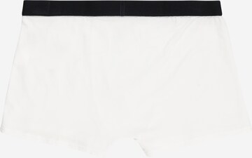 Tommy Hilfiger Underwear Regularen Spodnjice | siva barva