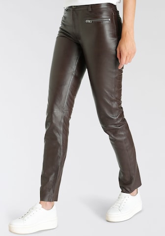Gipsy Regular Pants in Brown