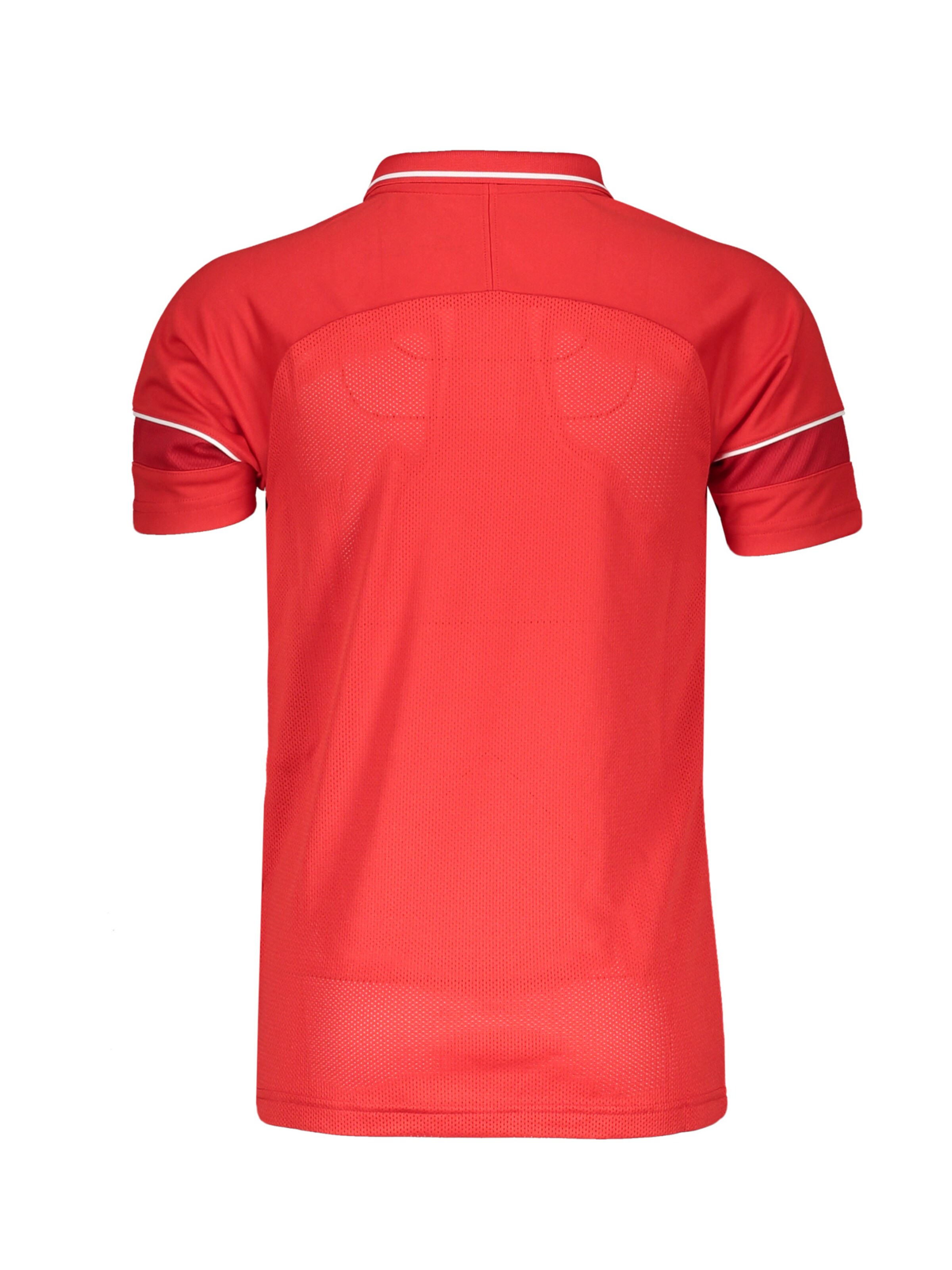 NIKE Funktionsshirt 'Academy 21' in Rot