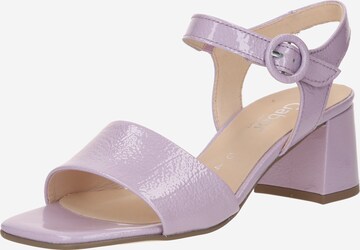 Sandales GABOR en violet : devant