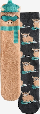 Chaussettes Next en mélange de couleurs : devant