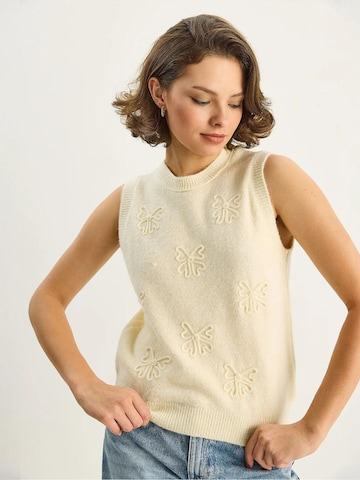 Bianco Lucci Sweater in Beige