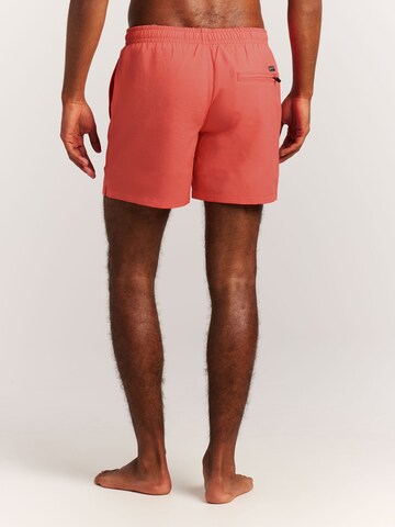 PROTEST Swimming shorts 'Davey' in Red
