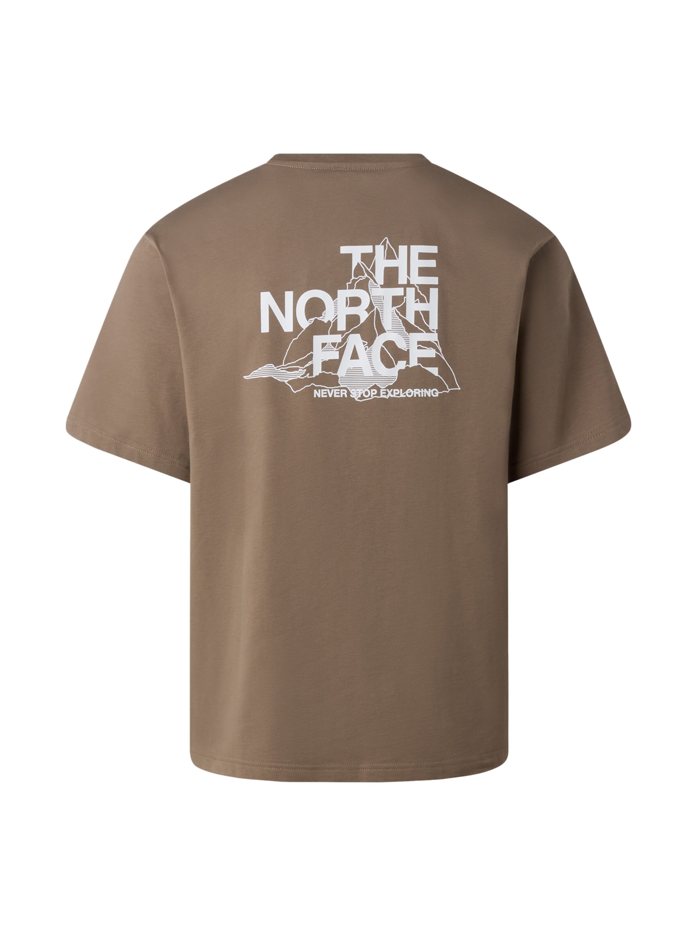 THE NORTH FACE Póló 'Mountain' - zöld